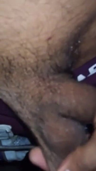 Chico sexy india