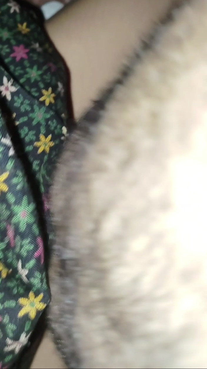 Desifukraa: Đụ cái âm hộ khít khao của cô ấy với một con...