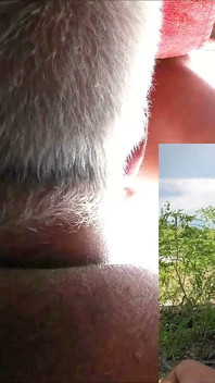 Sex Seen From Below
