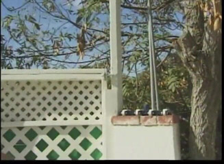 Gag Hoes: sunahre baalon vaali prakritik larki kaasting ke baad pool par...