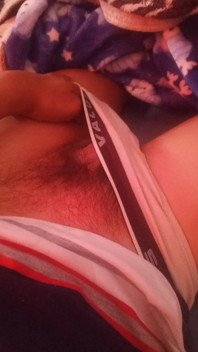 Penis