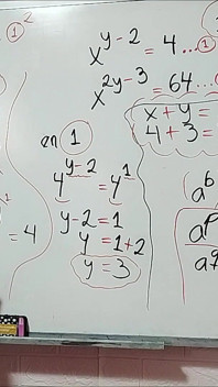 25 algebra: Oblicz X + Y - matematyka seksualna