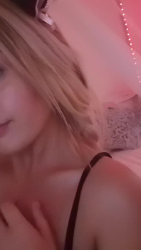 The Cat Went Out Hunting.