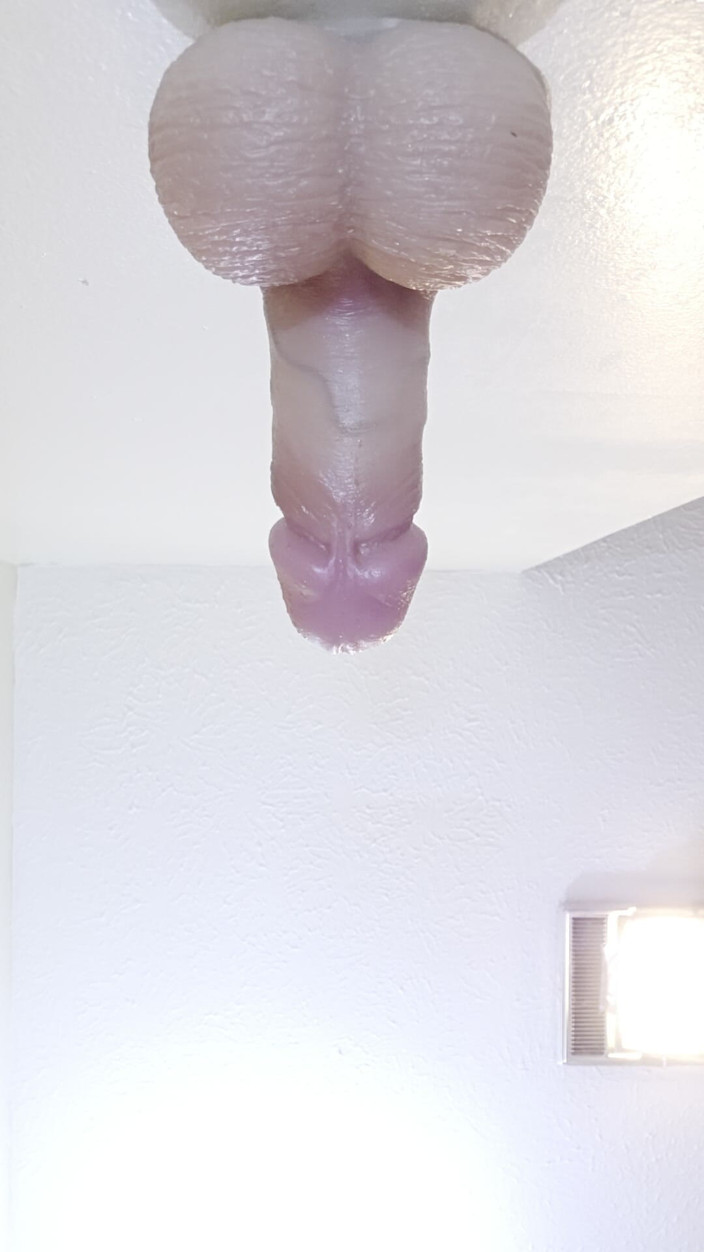 Beary Jax: O dildoyu duvara kim koydu?