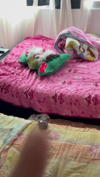 Tengo sueño humedos con mi primita