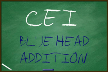 Campsissyboi: AUDIO ONLY - CEI blue head addition