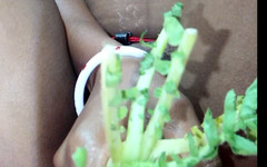 Puja saha: Zeleninové sexuální kouření