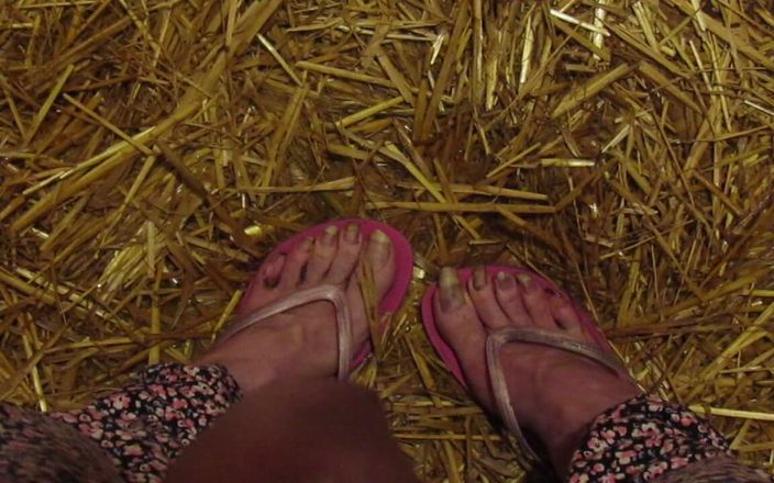 Barefoot Stables: 小便厩舎の足