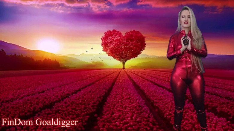 FinDom Goaldigger: Последняя инструкция по дрочке в твоей жизни! Инструкция по поясу целомудрия в клетке