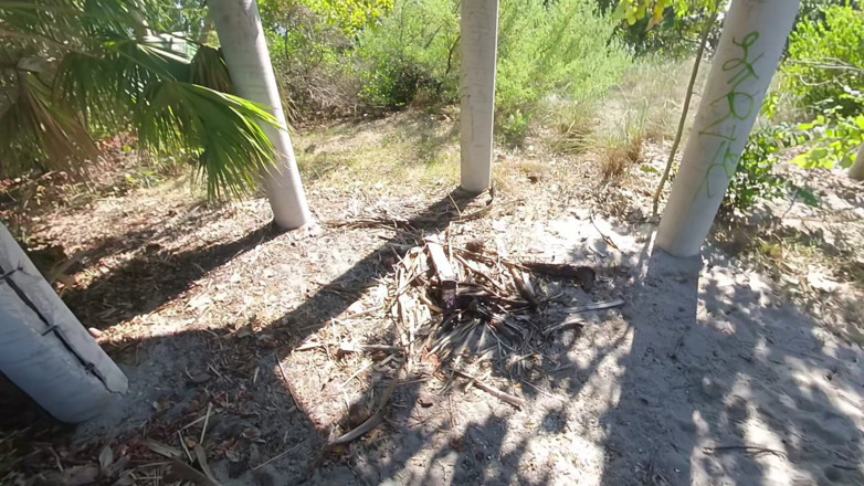 Miss Lexa: Jetski Island Cergas – Seks Miss Lexa