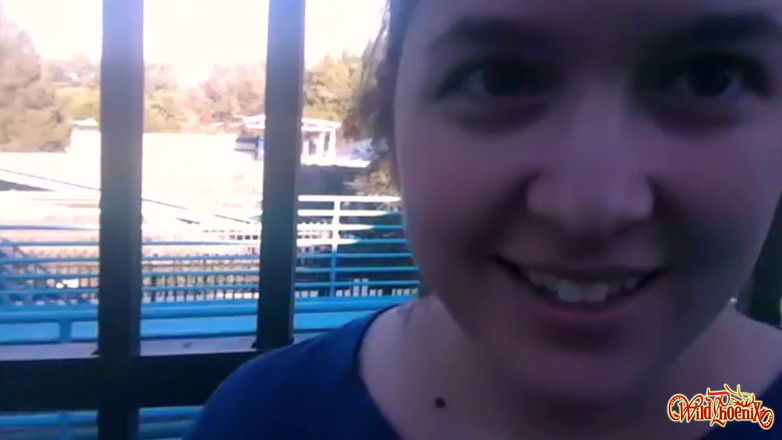 Wild Phoenix: Rollercoaster Orgasm: Secret Vibe Ride at the Theme Park