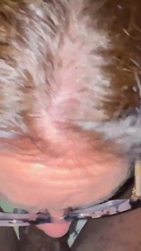 Slop Web Cum Blast