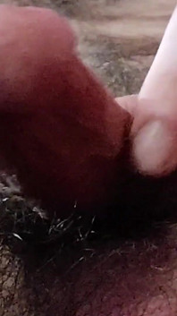 Hairy Close up Cock Dick Balls Ass Cumshot