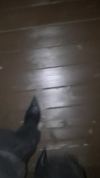 Pointy Boots in Snow