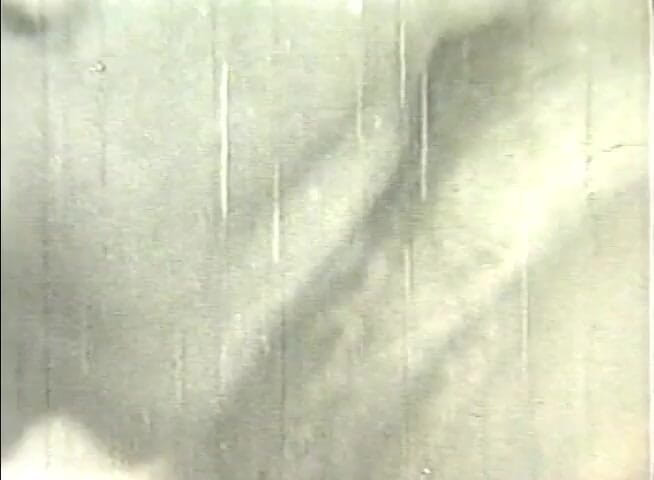 Alfacontent: Vintage, couple, sexe oral passionné