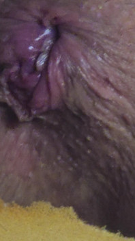 Menolak keluar creampie