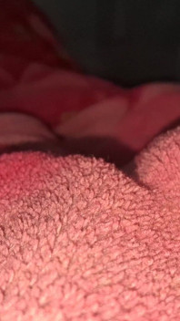 Dick Sucker
