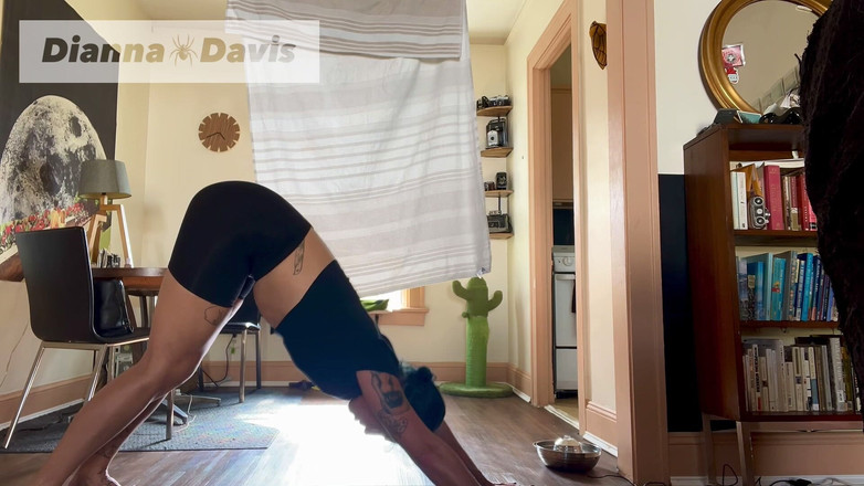 Dianna Davis: Speed-yoga