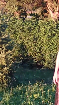 Granny Is Wearing a Sheer Bodysuit Outside