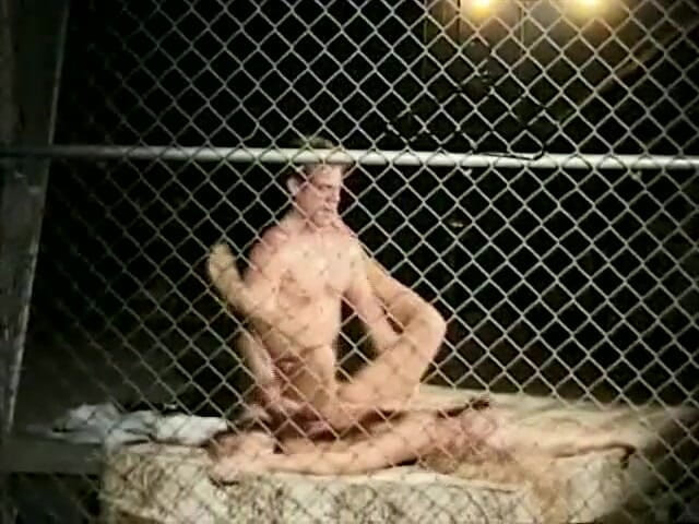 Classic Porn DVDs: Clássicos dvds pornôs: Sticky Tales: Parte 7