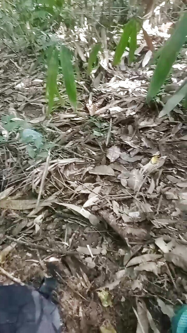 Masturbating in the Woods Until It Spurts (XX 69) Masturbating in the Woods Until It Spurts (XX 69)