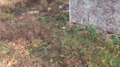 sweethanajapanese: Air kencing, berjalan ke taman