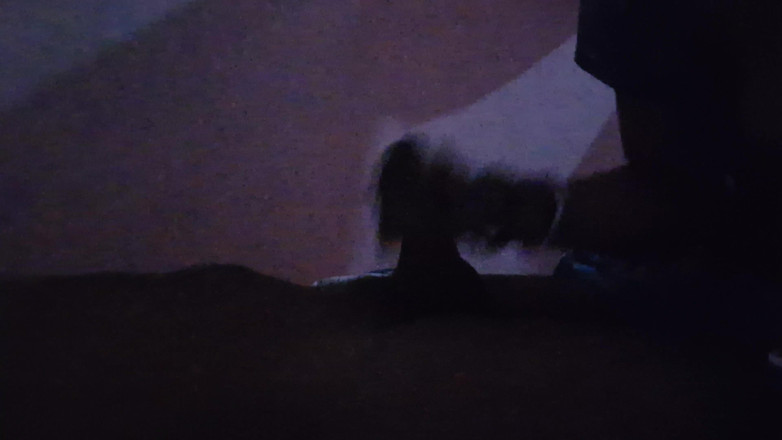 Aakritik346: Kakak ipar india nyepong dan ngentot semalam sedap di malam...