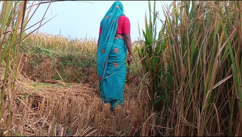Riyadesi18: Apabila Adik ipar memotong Paddy, abang ipar mengongkek adik ipar...