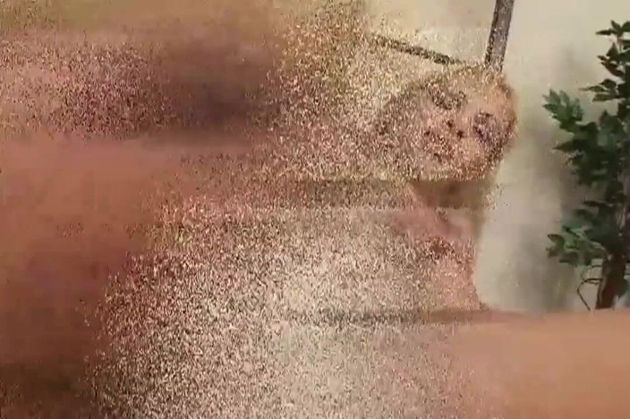 Planet Shemale: Vilda heta transgenders Vol.2