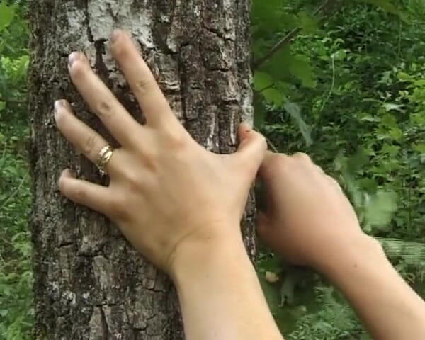 Videos Francaises: Two French Couples Turning Picnic Into Hot Outdoor Foursome