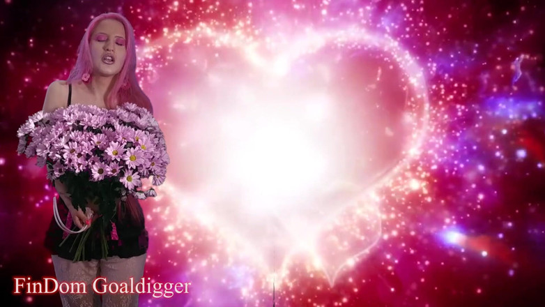 FinDom Goaldigger: Pinker paypig-tag