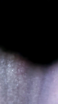 Sandra: Pretty Arab Sandra Doing a Hot Striptease