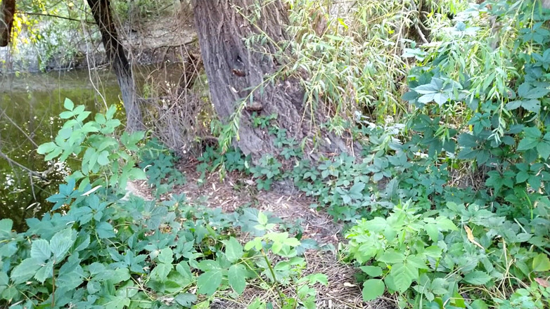 OurFetishLife: Mouthfucking a MILF with a gorgeous ass outdoors.