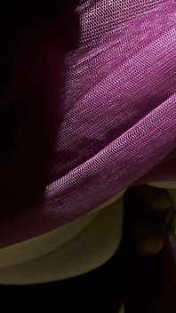 Mesmeriza