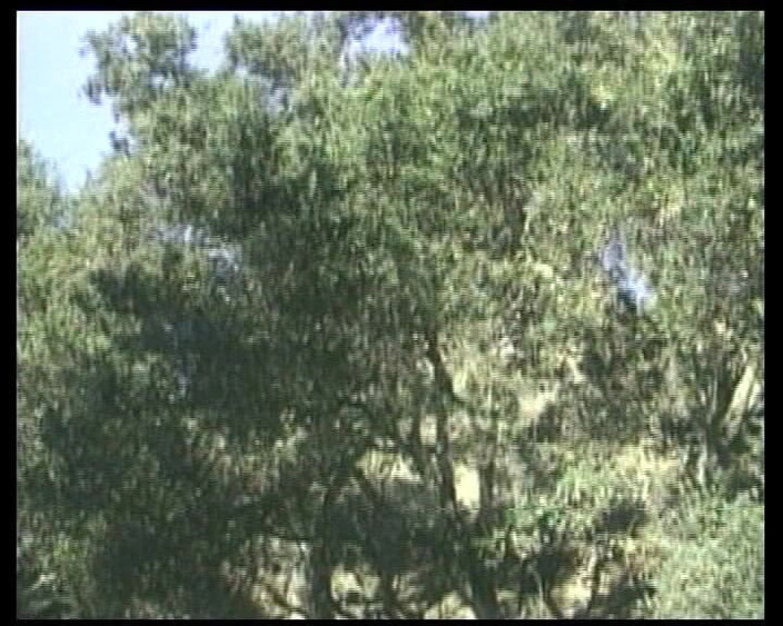 Under German Roofs: ドイツのみだらが10を楽しむために彼らの猫に長いコックを望んでいます