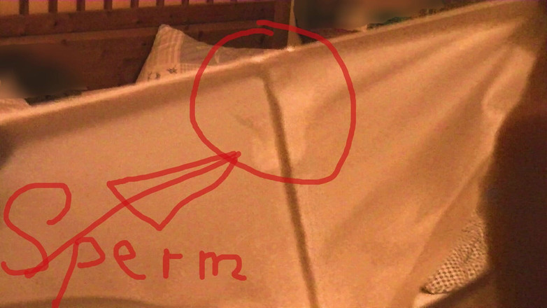 Mark Hannes: Masturbare cu chiloții mamei vitrege