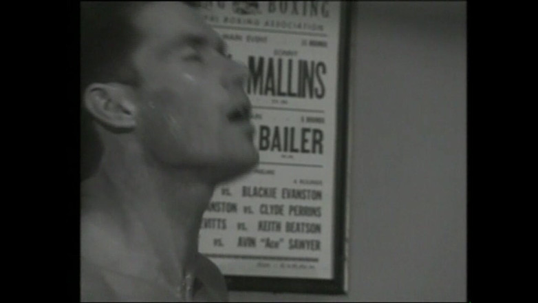 Forte porno TV xxx - (Just the best full movies): Świnia Jenna (film)