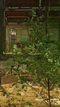 Erotics in Ruins