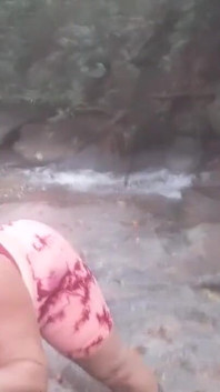 Spazieren Sie im Wald