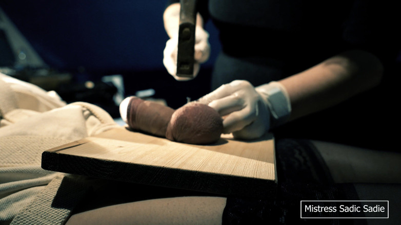 Sadic Sadie: Kali Pertama Memaku Bola Dan Jarum Melalui Acorn Anda.