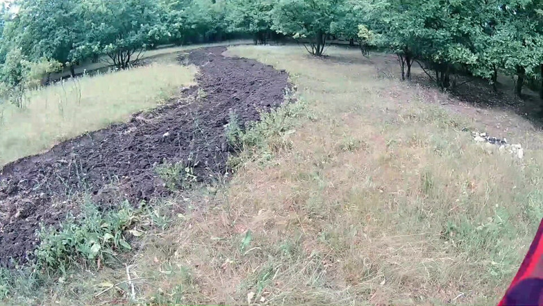 Taboo Room: Sesso nella foresta - con un bagno tabù