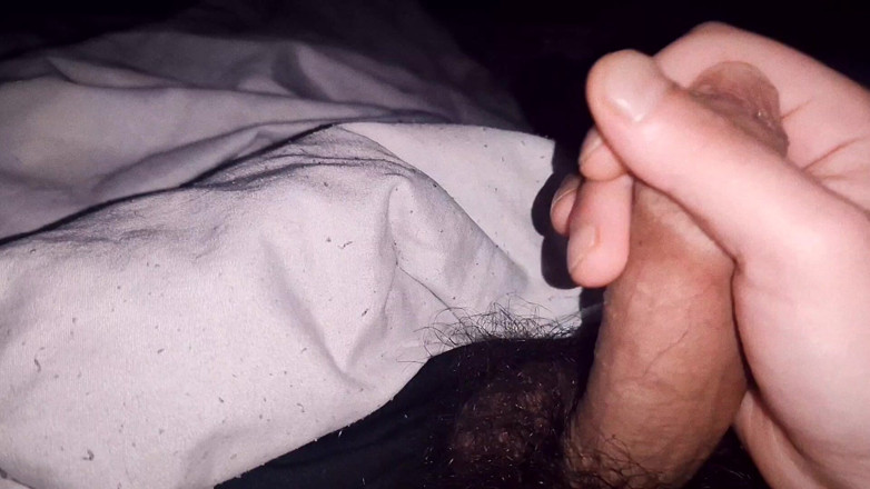 MartyBrady: 20yo Sexy Twink Hairy Cock Mastorbation
