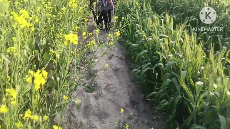 Savita5343: Sexe desi en plein air. Chachi se fait baiser en...