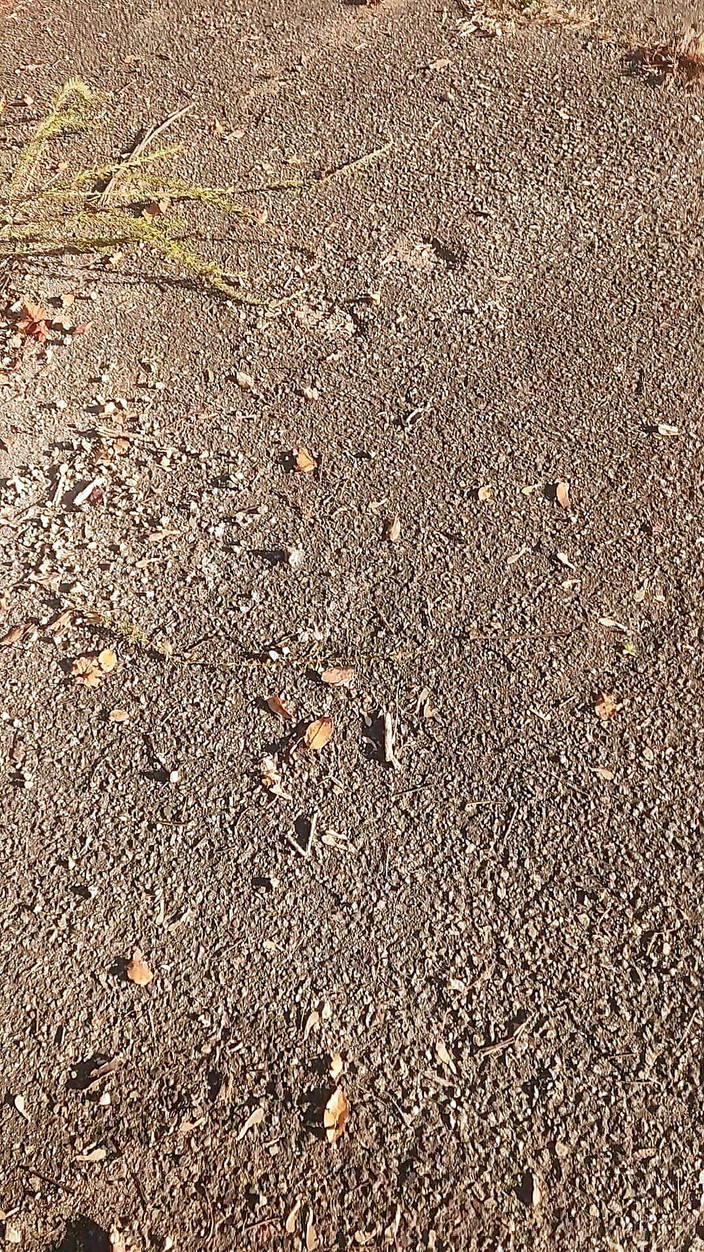 Djk31314: Otoyol yakınında yürüyüş