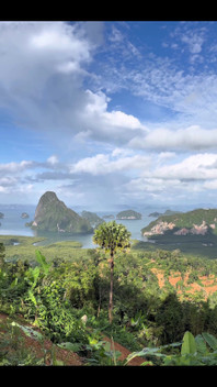 This View