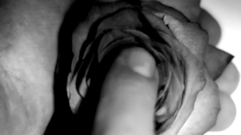 Kane Santiago: Fetiș cu mâini - Mâinile mele distrugând flori și fructe