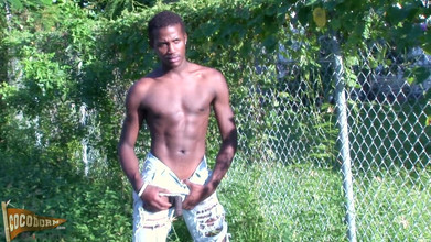 CocoDorm: Sylk seksi