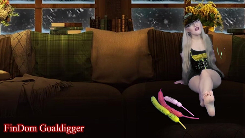 FinDom Goaldigger: Cyber CEI