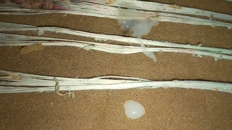 Masturbator emmy: Bez swojej dziewczyny nadal możesz się dobrze bawić: oto jak