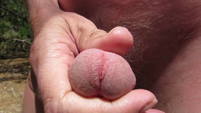 Littleschorschi: Melancap bogel dalam hutan dan ladang 2